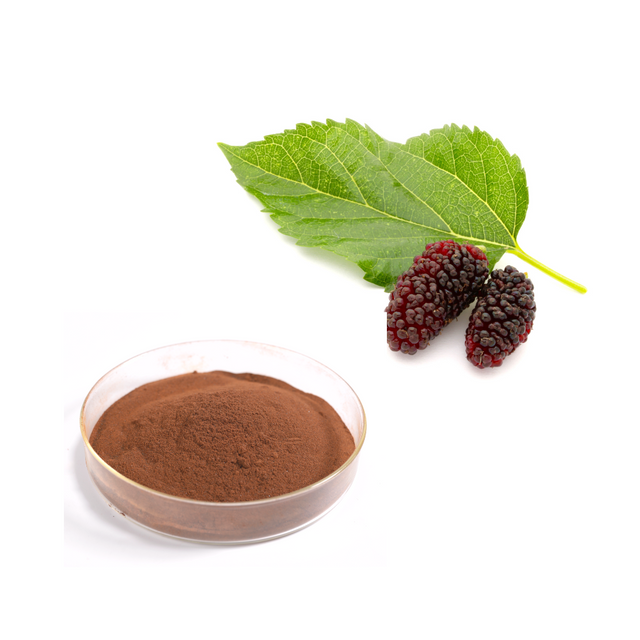 Mulberry Leaf Extract
