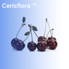 Cerisflora ™ ，Tart Cherry Concentrate Powder， Montmorency tart cherries