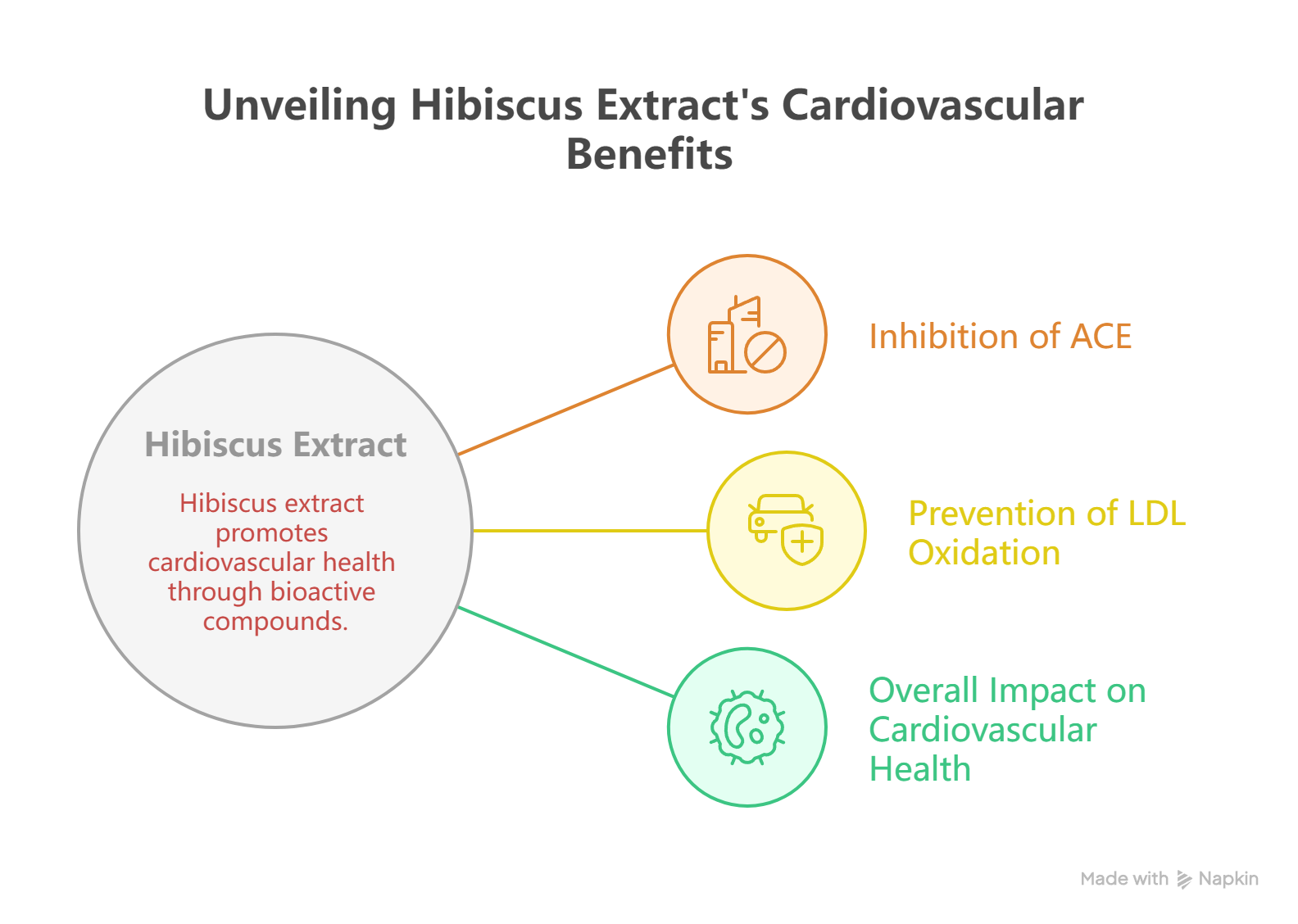 Hibiscus Extract and Cardiovascular Health_ A Mechanism of Action - visual selection (1)