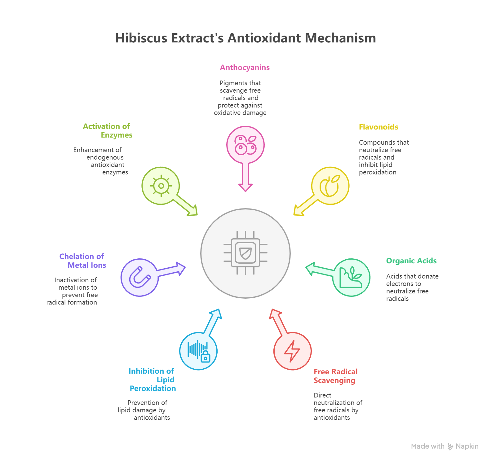 The Antioxidant Mechanism of Hibiscus Extract - visual selection