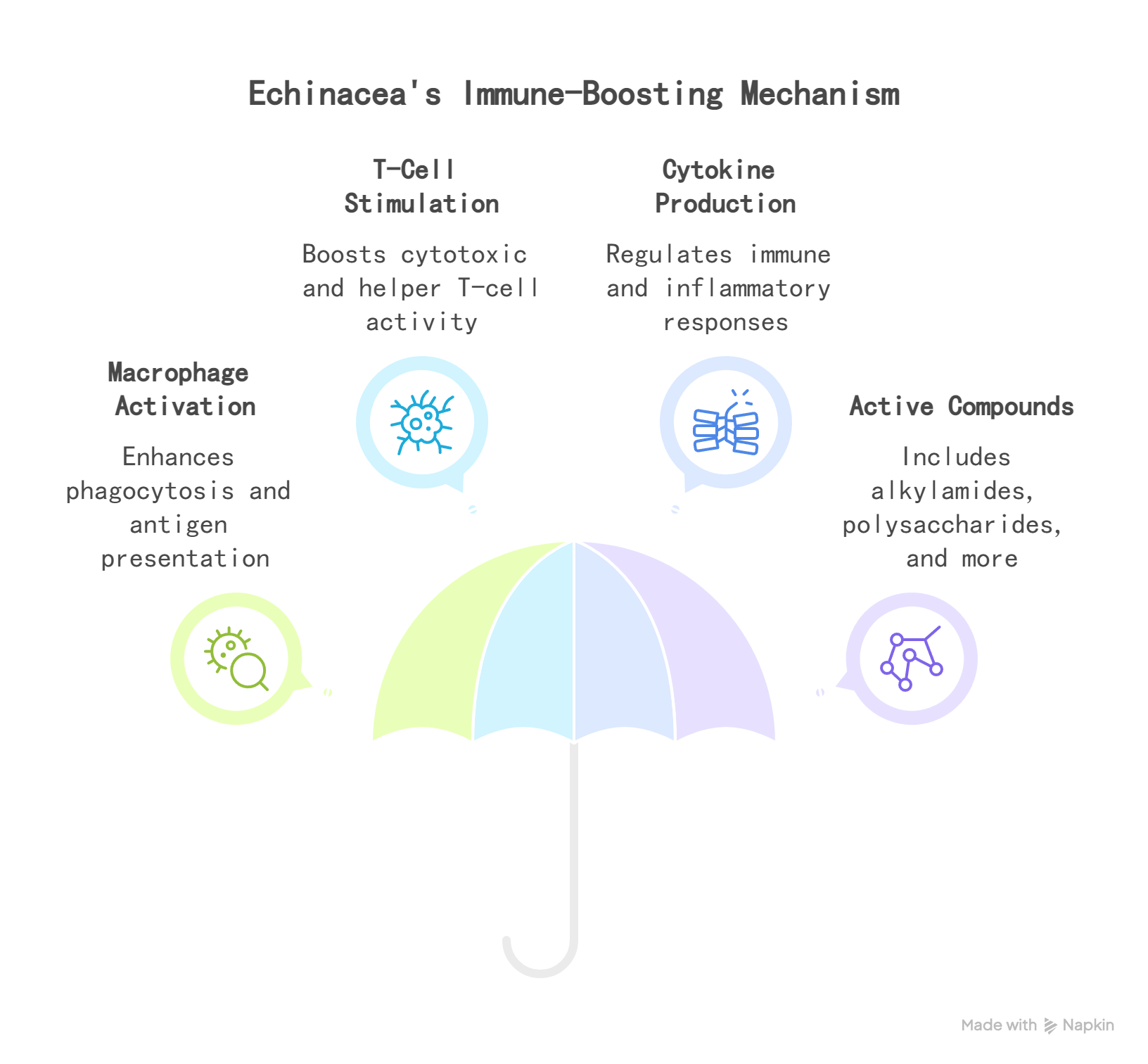 Echinacea Extract_ Mechanism of Action - visual selection