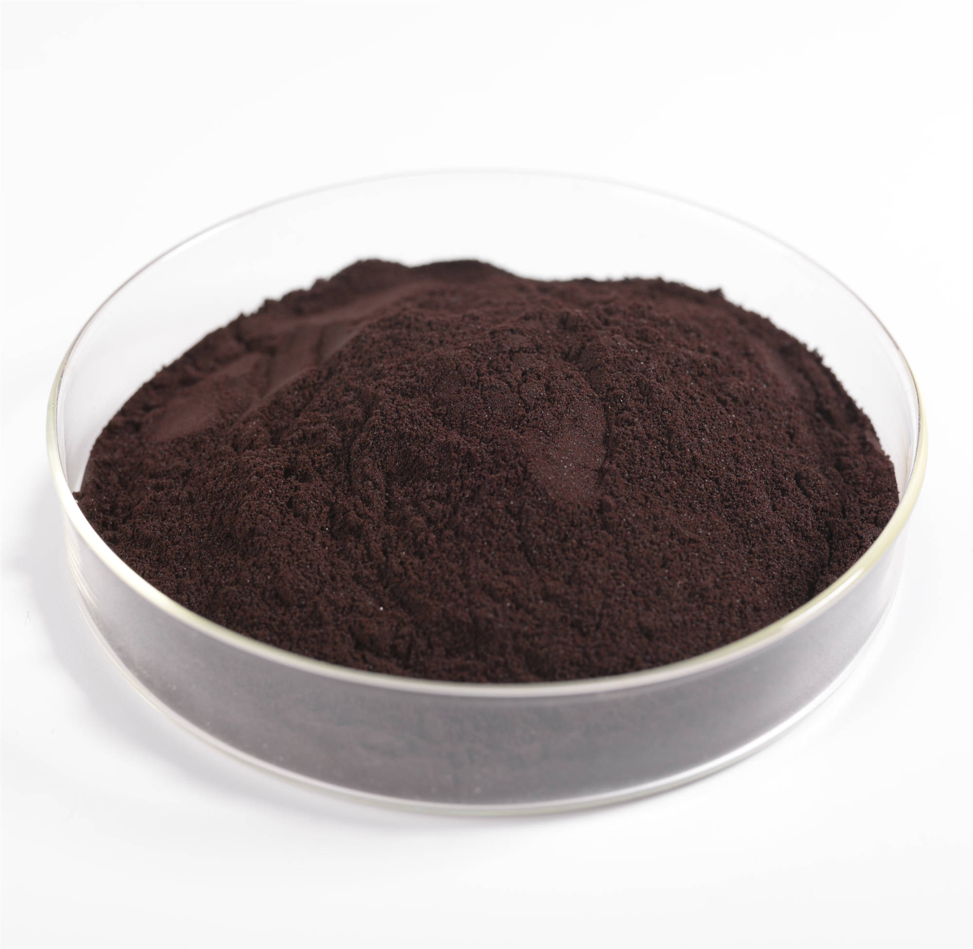 COCOA SEED EXTRACT