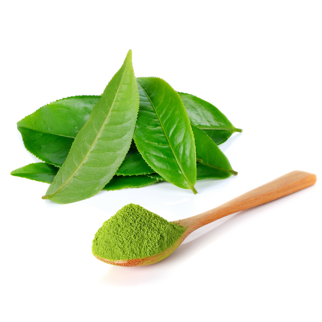 Green Tea Extract