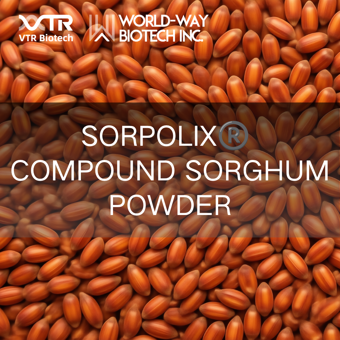 Sorpolix® Compound Sorghum Powder: A 4-Dimensional Full-Chain Solution for Glycemic & Lipid Management