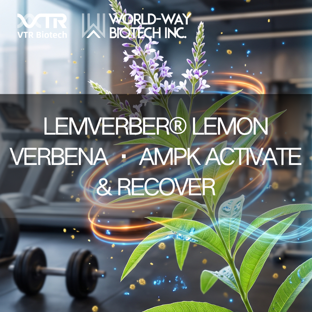Faster Muscle Recovery Without Extra Protein? Lemverber® Lemon Verbena's Counterintuitive Answer Through AMPK