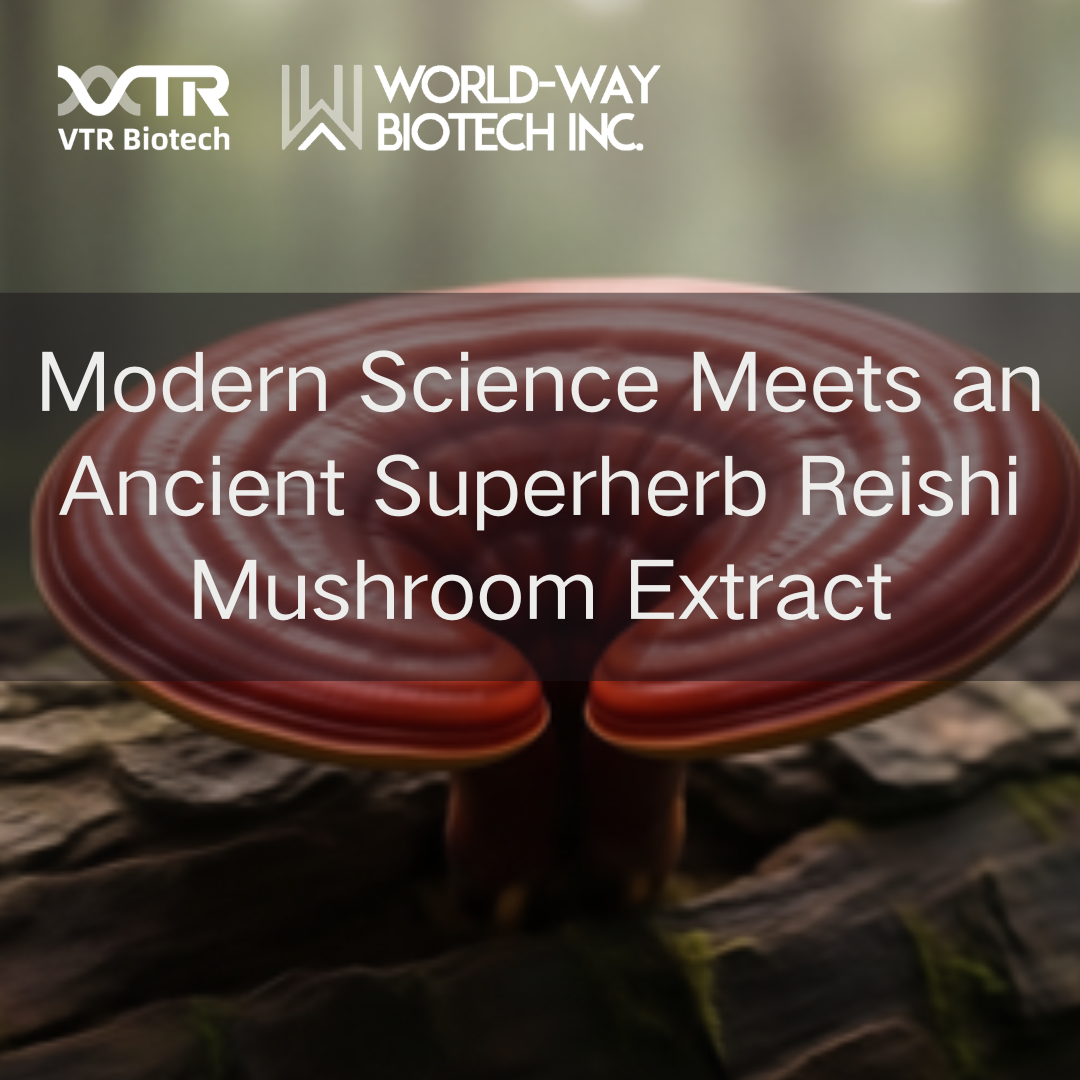 Reishi Mushroom Extract (Polysaccharides & Triterpenes): Modern Science Meets an Ancient Superherb
