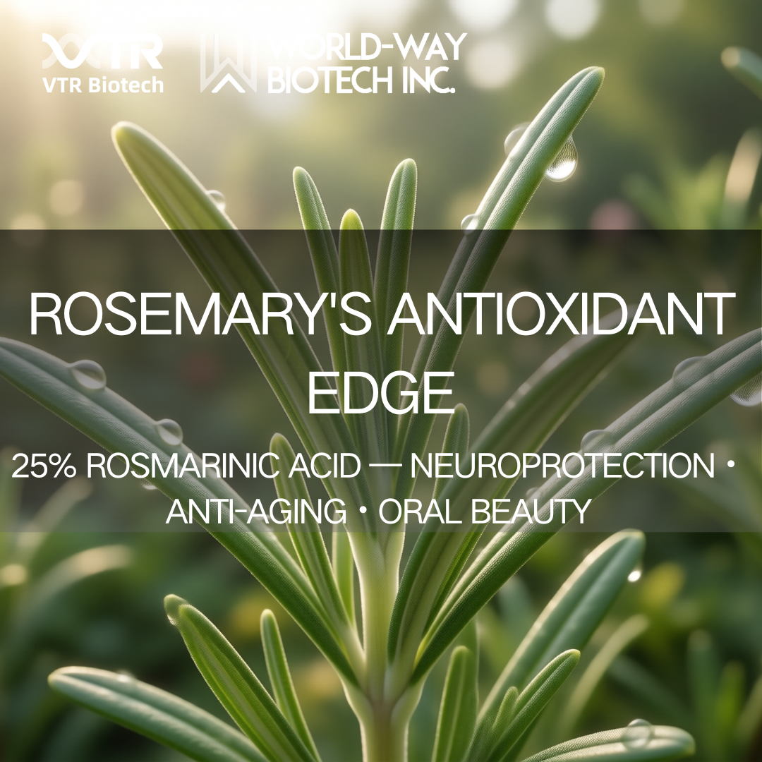 Rosemary Extract - Rosmarinic Acid: The Science Behind Nature’s Premier Antioxidant