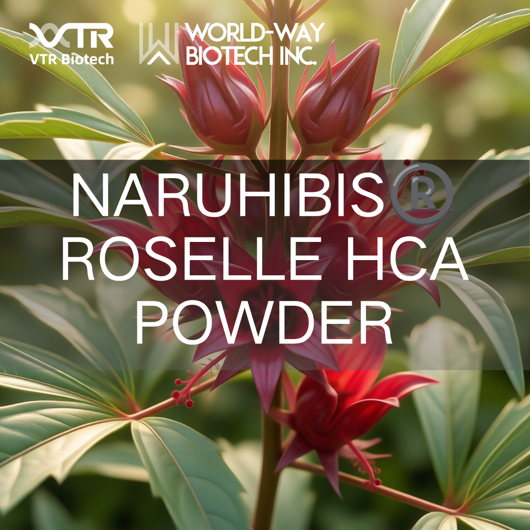 Naruhibis® Roselle HCA Powder: A Natural, High-Potency Solution for Science-Based Weight Management