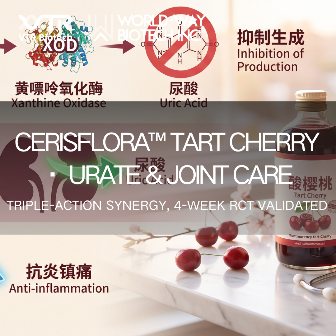 Cerisflora™ Tart Cherry — Uric Acid Metabolism and Joint Health
