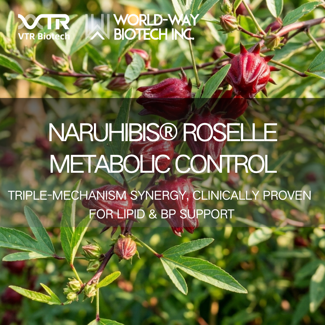 Naruhibis® Hibiscus Extract: Triple-Action Metabolic Regulation for Natural Weight Management
